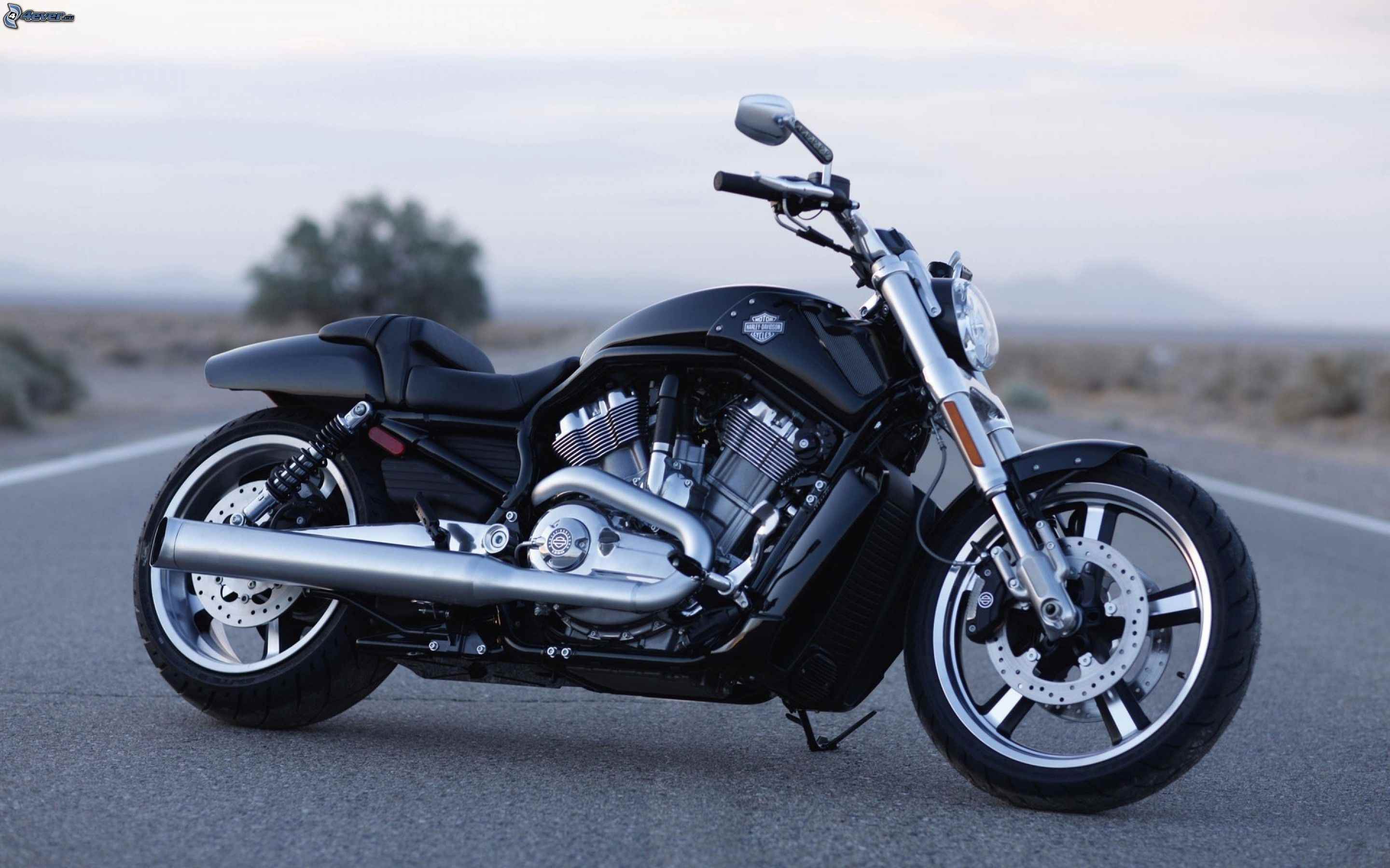 Rimappatura centralina Harley Davidson 883